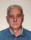 Risto Palavestra